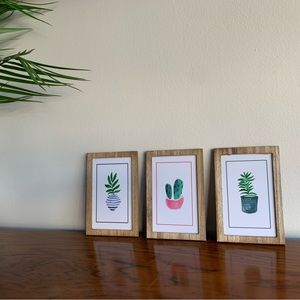 Set of 3 Succulent Pictures. Never used. Brand new.